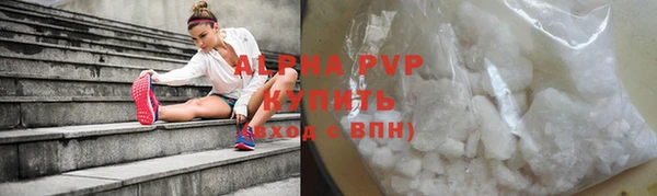 хмурый Абаза