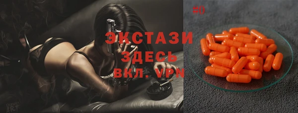 хмурый Абаза