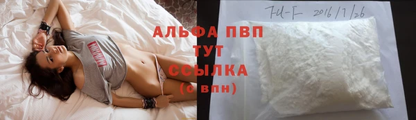 хмурый Абаза
