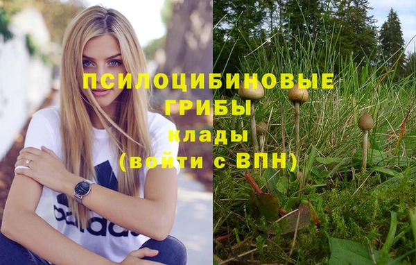 экстази Абинск