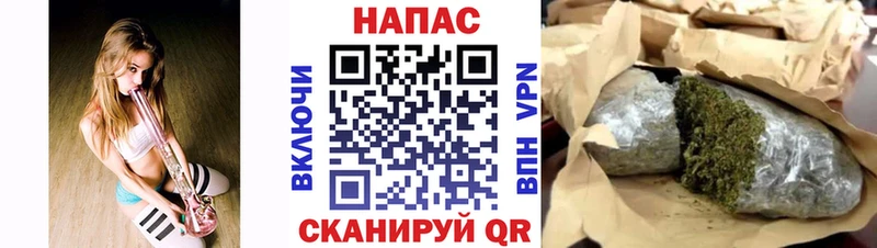 мориарти Telegram  где найти   Великий Новгород  Бошки марихуана OG Kush 